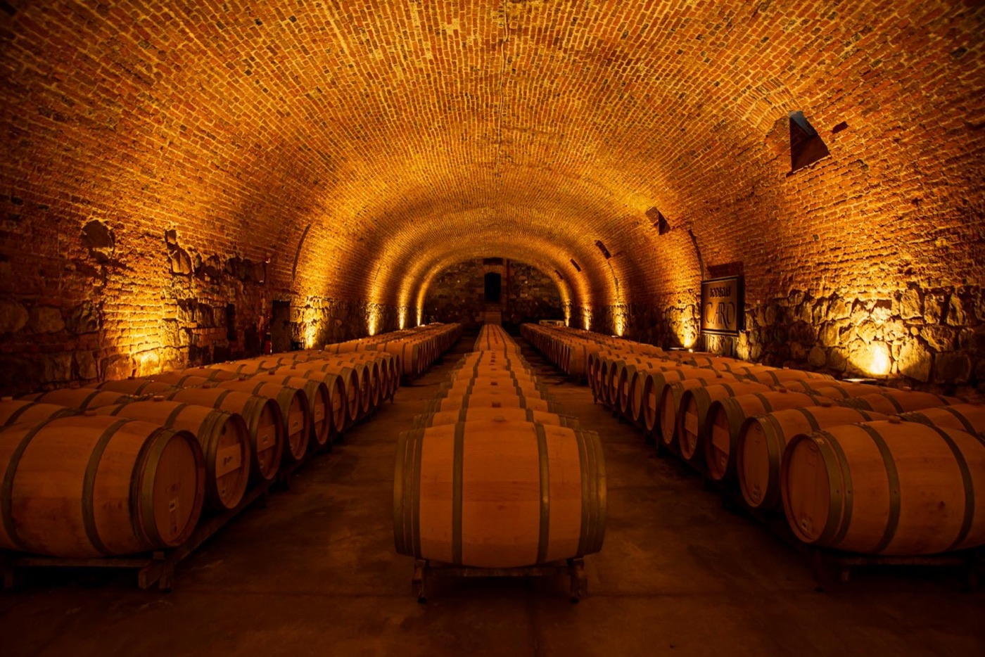 Cave voûtée en brique, foudres et barriques en élevage