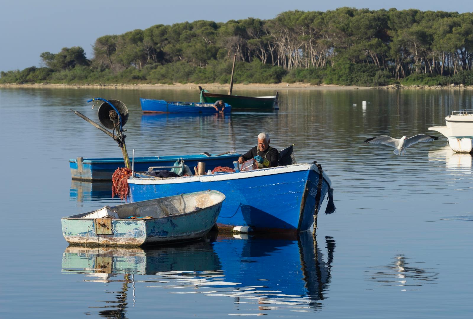 Port Vauban, retour de pêche au petit matin
